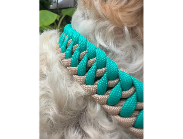 Infinity Braid in Teal & Light Tan - Handmade Dog Collar - Tampa Home & Garden Store