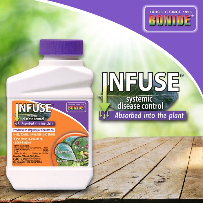 Bonide Infuse systemic plant fungicide concentrate bottle with purple cap and orange label on Tampa Home & Garden Store