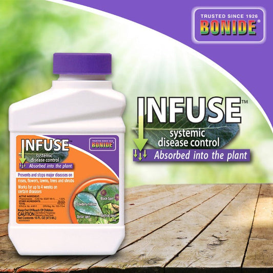 Bonide Infuse systemic plant fungicide concentrate bottle with purple cap and orange label on Tampa Home & Garden Store