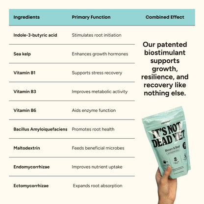 Bloom & Bed outdoor fertilizer by MitoGrow; mint-green bag beside an ingredients chart on Tampa Home & Garden Store