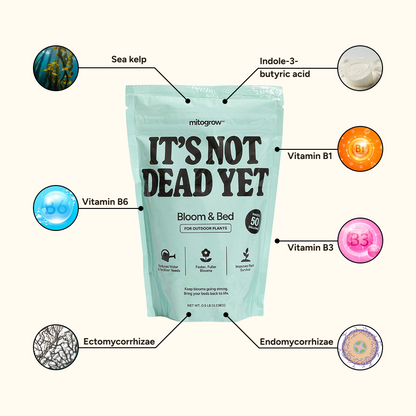 Bloom & Bed outdoor fertilizer bag by MitoGrow in teal packaging on Tampa Home & Garden Store