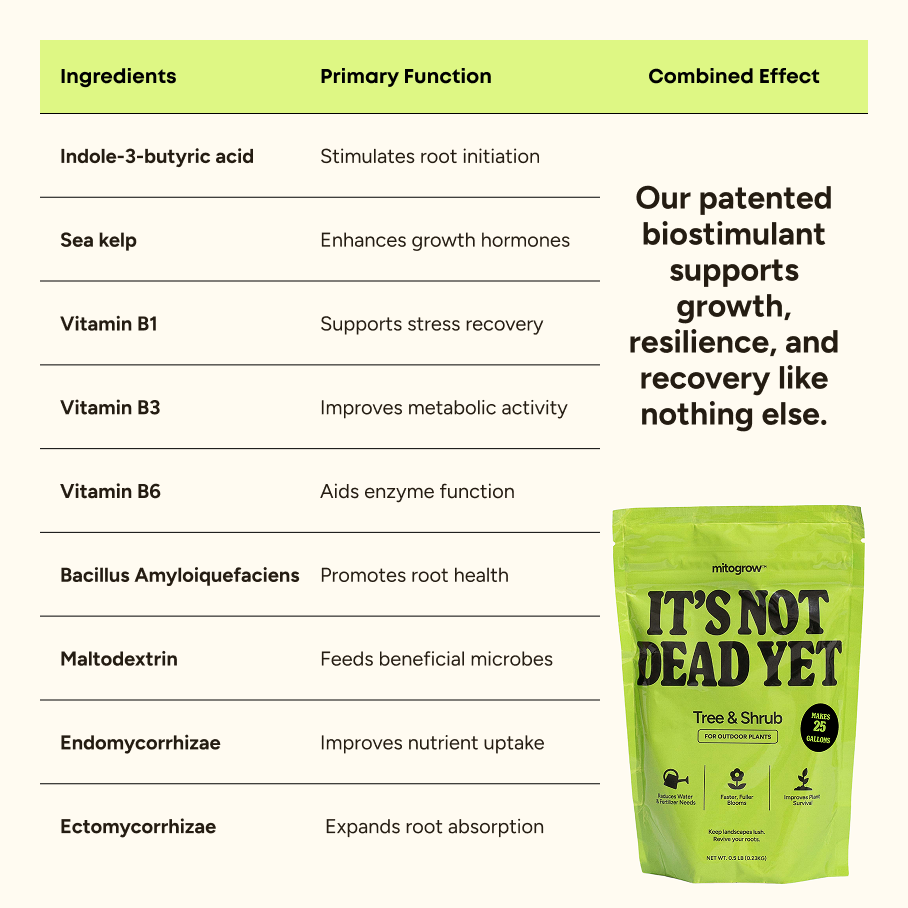 Tree & Shrub outdoor fertilizer by MitoGrow with ingredients chart and bag It’s Not Dead Yet on Tampa Home & Garden Store