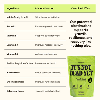 Tree & Shrub outdoor fertilizer by MitoGrow with ingredients chart and bag It’s Not Dead Yet on Tampa Home & Garden Store