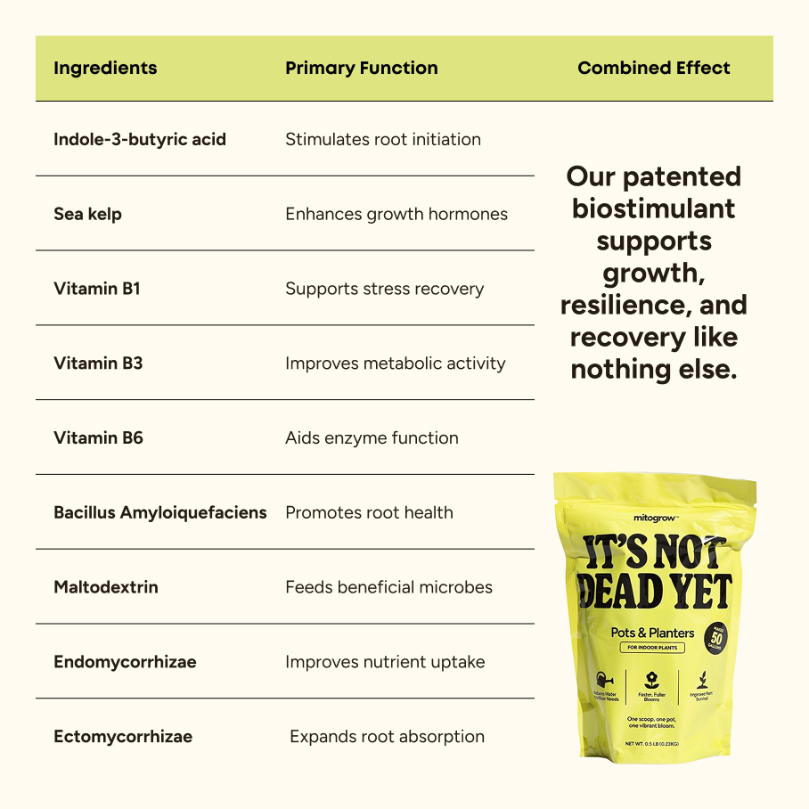 Pots & Planters fertilizer by MitoGrow beside yellow ingredients chart for indoor plants on Tampa Home & Garden Store