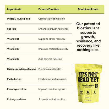Pots & Planters fertilizer by MitoGrow beside yellow ingredients chart for indoor plants on Tampa Home & Garden Store