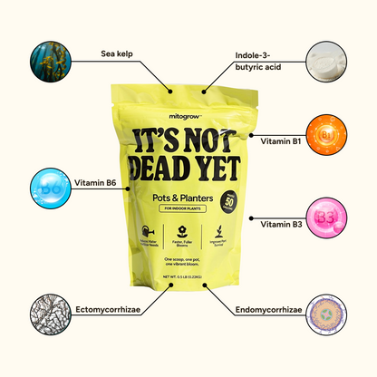 Pots & Planters indoor fertilizer bag by MitoGrow, yellow pouch with sea kelp and mycorrhizae on Tampa Home & Garden Store