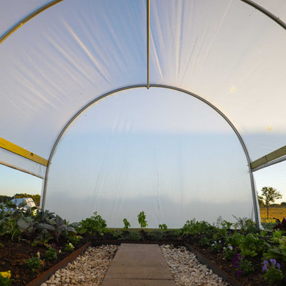 Bootstrap Farmer 10x12 backyard greenhouse kit interior with arched clear plastic walls on Tampa Home & Garden Store