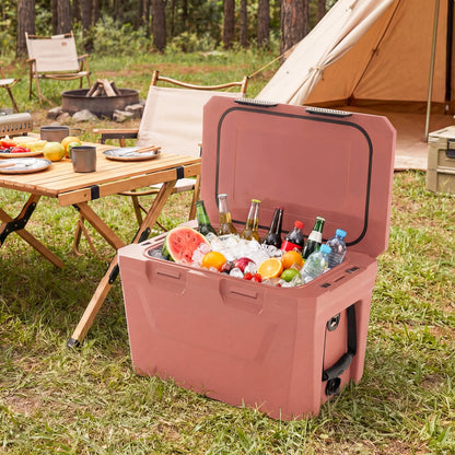 Insulated portable cooler hard shell GemGear pink with 2 cup holders on Tampa Home & Garden Store
