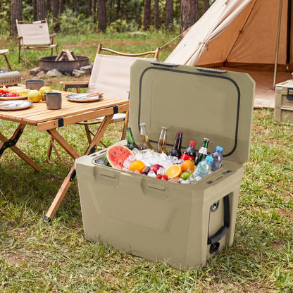 Insulated portable cooler GemGear olive hard-shell open with ice and drinks at campsite on Tampa Home & Garden Store