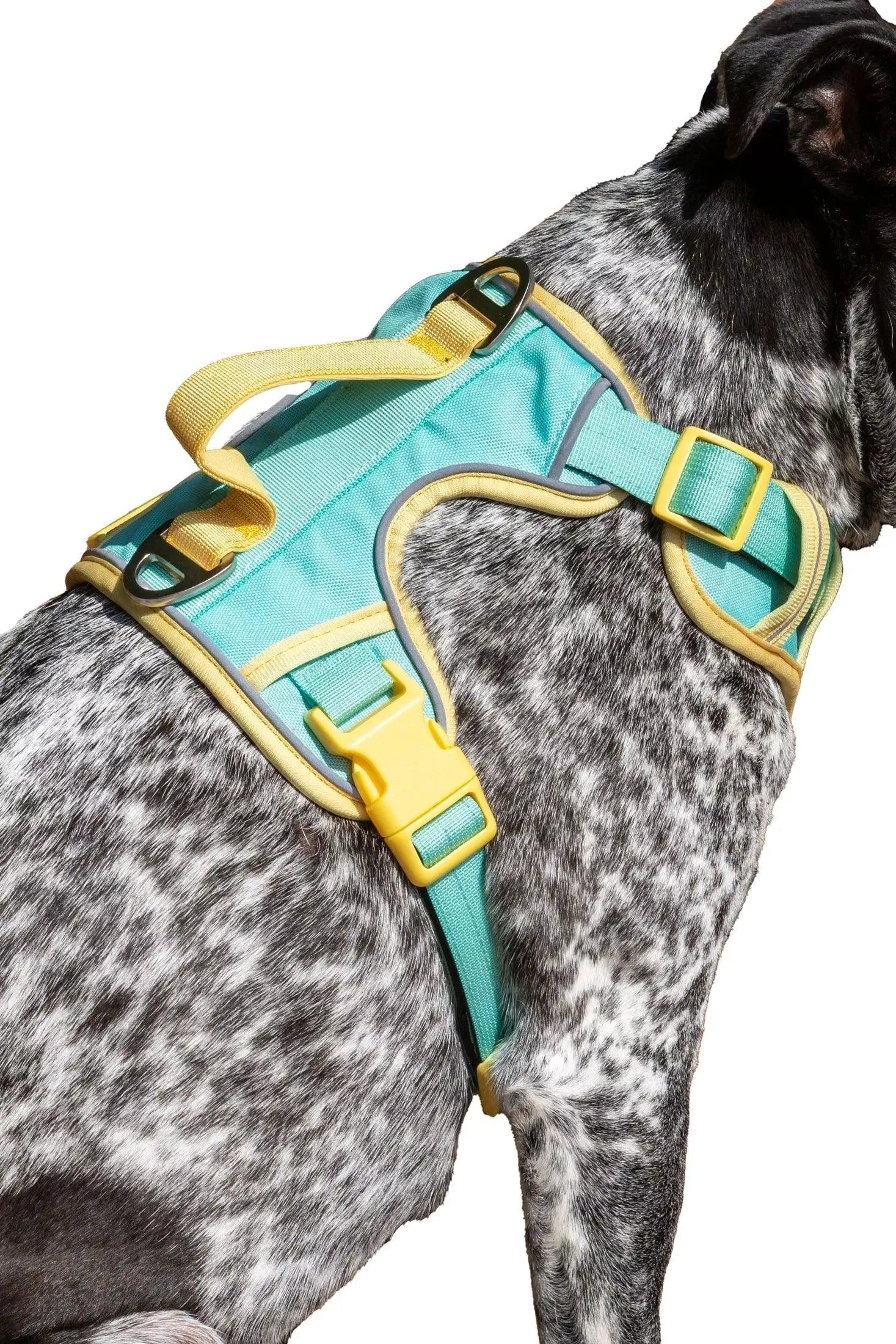 Island Vibes Ultimate Dog Harness - Tampa Home & Garden Store