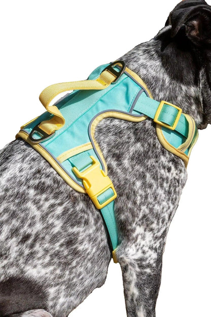 Island Vibes Ultimate Dog Harness - Tampa Home & Garden Store