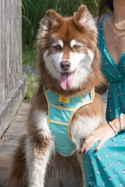Island Vibes Ultimate Dog Harness - Tampa Home & Garden Store