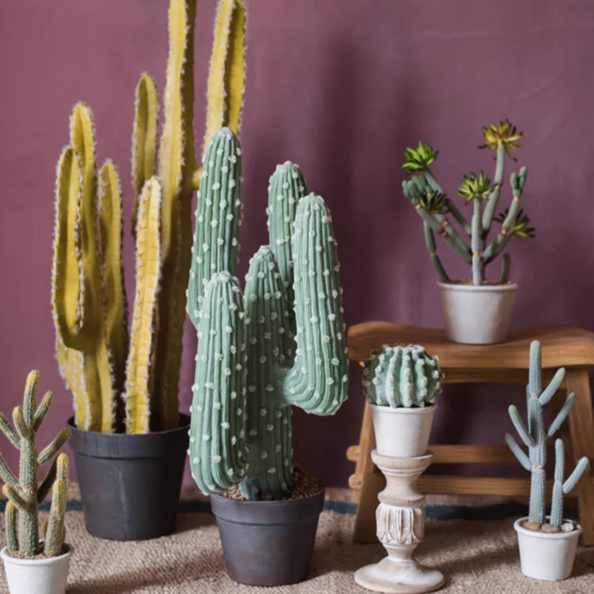 Artificial Cactus in Pot assorted styles featuring tall yellow and green cacti in pots RusticReach Planters on Tampa Home & Garden Store