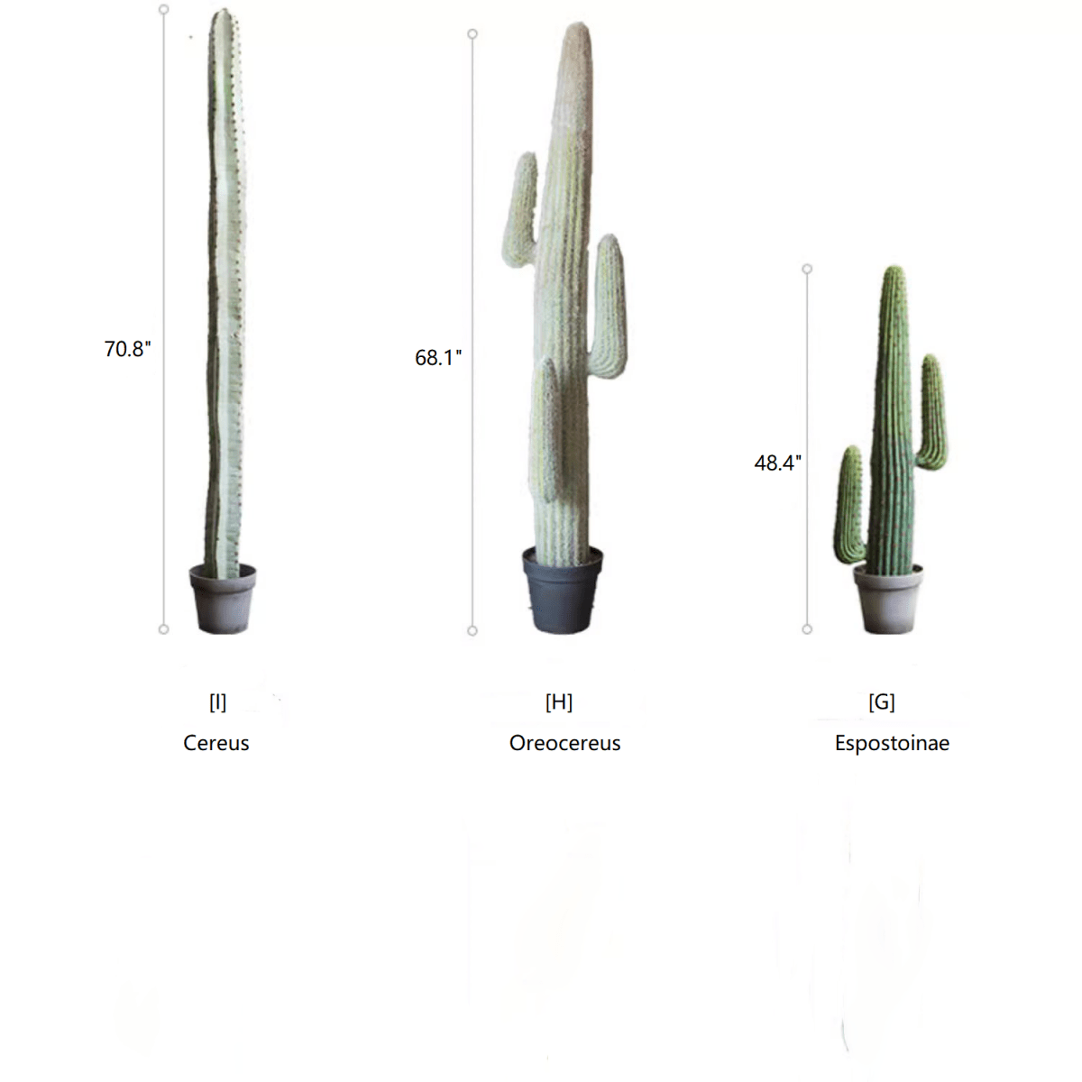Artificial cactus trio in gray pots: Cereus, Oreocereus, Espostoinae by RusticReach on Tampa Home & Garden Store