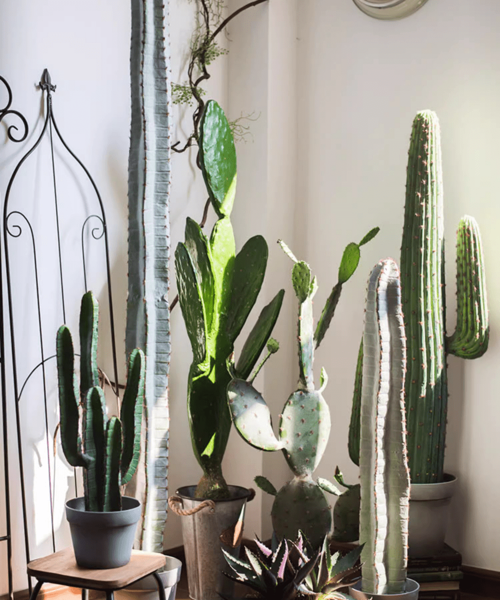 Artificial Cactus in Pot, various styles; tall column and paddle cacti in metal and ceramic planters on Tampa Home & Garden Store