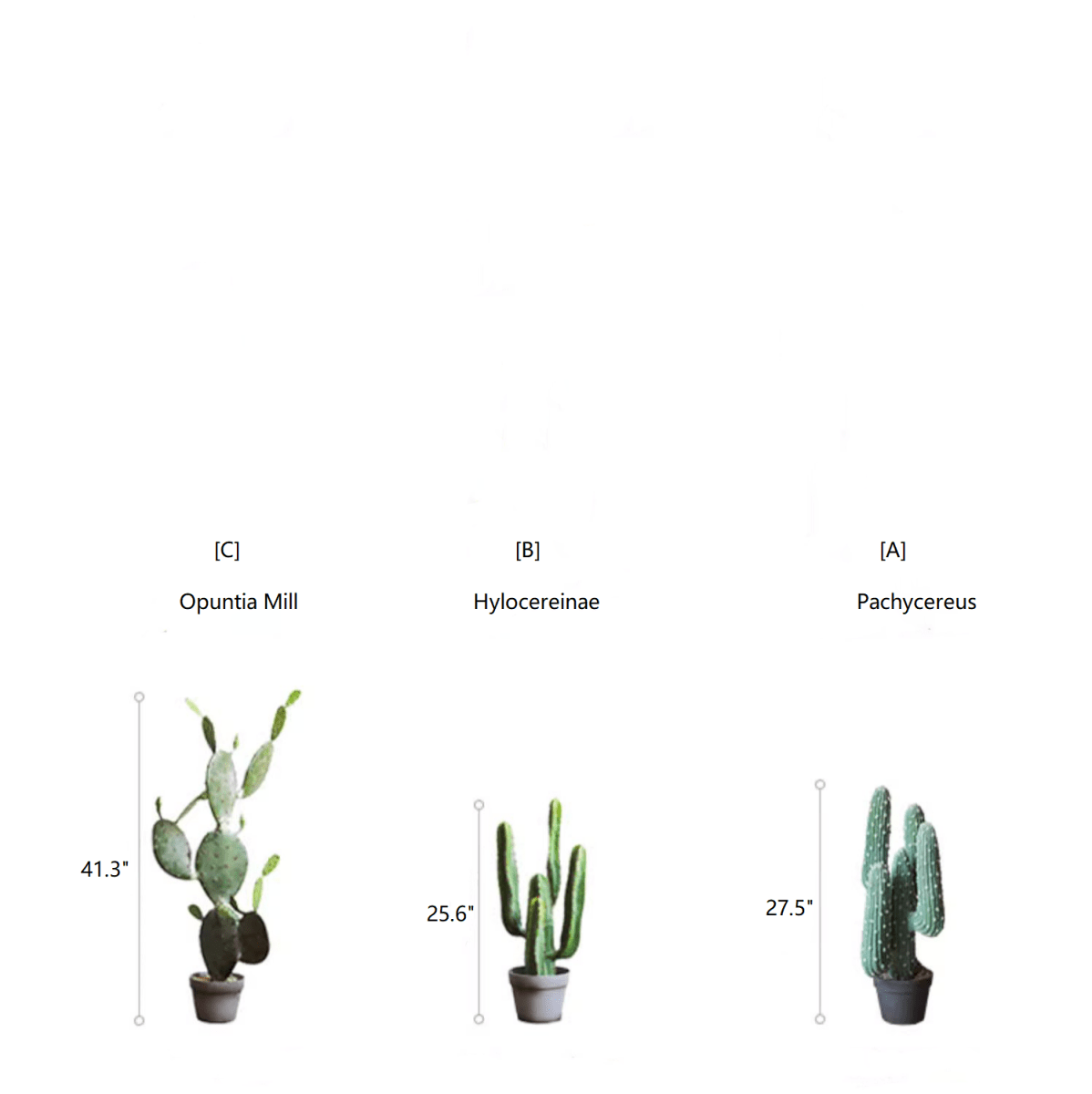 Artificial cactus trio in pots: Opuntia Mill, Hylocereinae, Pachycereus; RusticReach planters on Tampa Home & Garden Store