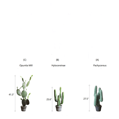 Artificial cactus trio in pots: Opuntia Mill, Hylocereinae, Pachycereus; RusticReach planters on Tampa Home & Garden Store