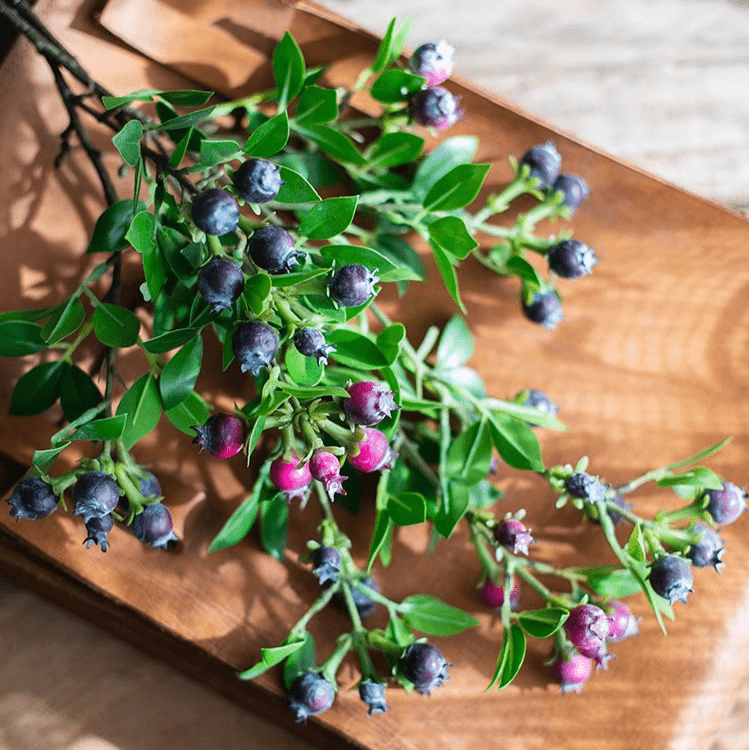 RusticReach Alpine Blueberry Stem artificial fruit with leaves and blue berries 22.4in tall on Tampa Home & Garden Store