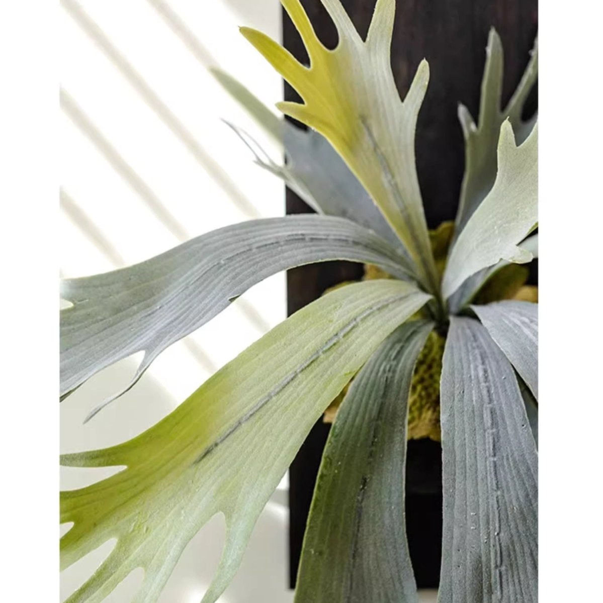 Artificial Antler Fern on solid wood base in silvery-green tones RusticReach on Tampa Home & Garden Store