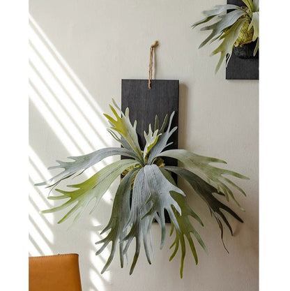 Artificial Antler Fern on solid dark wood backer with hanging jute cord RusticReach on Tampa Home & Garden Store