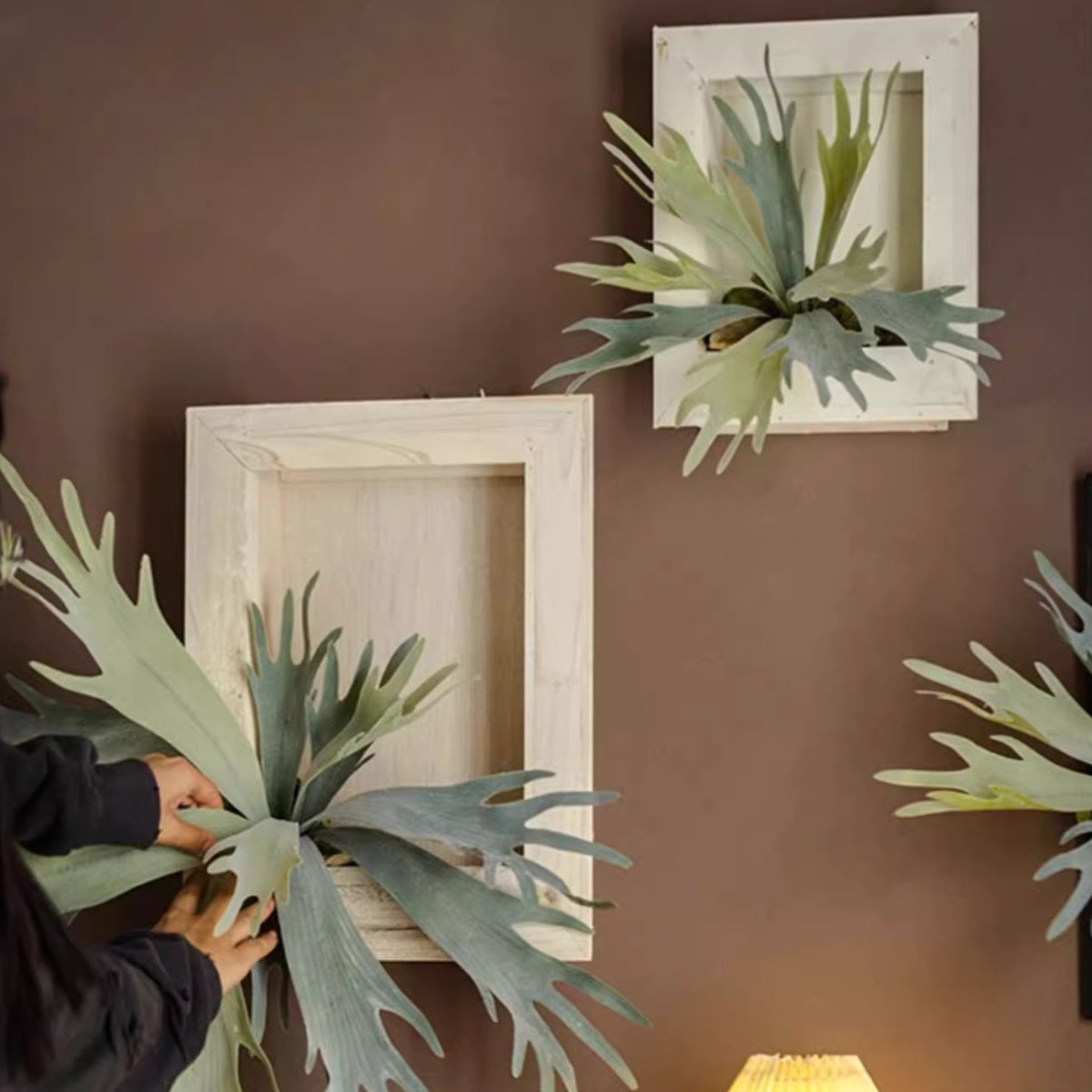 Artificial Antler Fern with Wooden Frame RusticReach three frames wall decor on brown wall on Tampa Home & Garden Store
