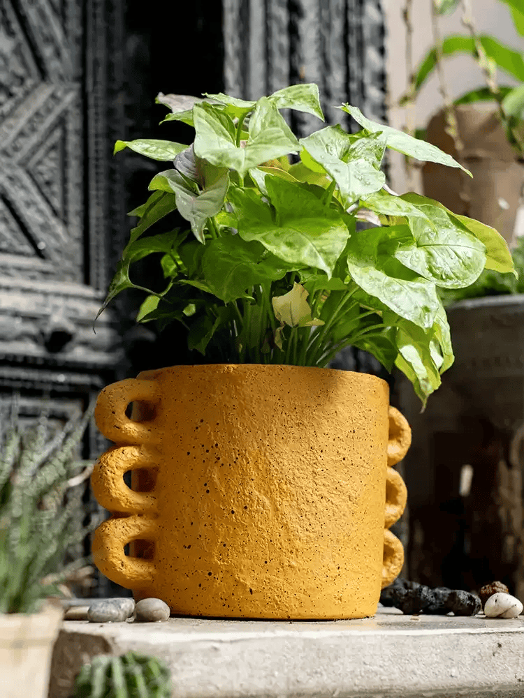Artisan Loop Handle Cement Planter in yellow with loop handles and a green leafy plant on Tampa Home & Garden Store