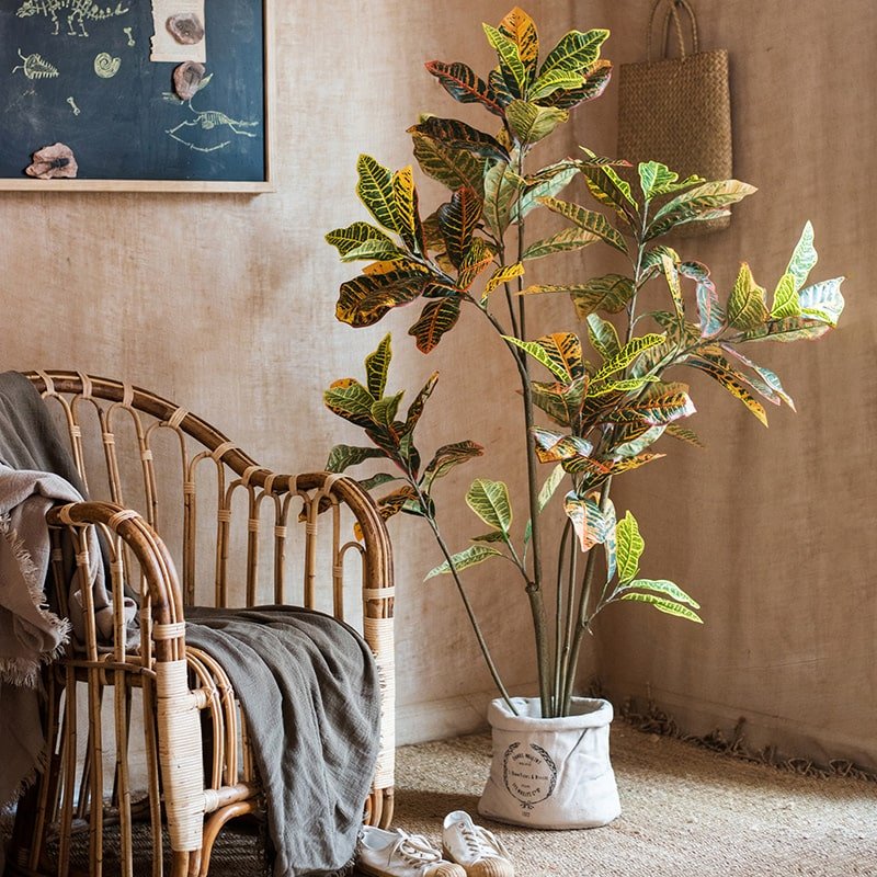 Large Leaf Croton Tree in Pot by RusticReach with variegated leaves in white fabric pot on Tampa Home & Garden Store
