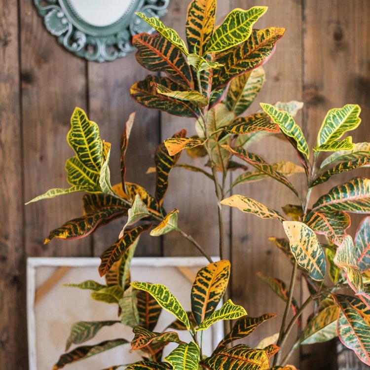 Large Leaf Artificial Croton Tree in Pot with yellow-green leaves by RusticReach on Tampa Home & Garden Store