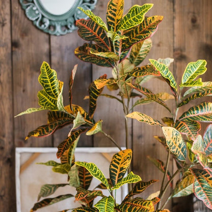 Large Leaf Artificial Croton Tree in Pot with yellow-green leaves by RusticReach on Tampa Home & Garden Store