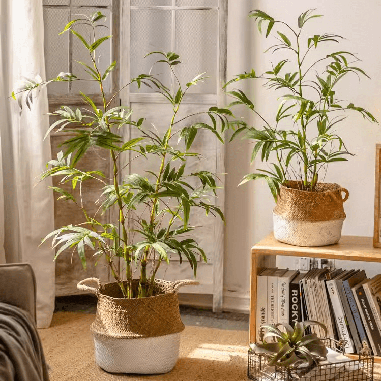 RusticReach artificial bamboo leaves in pot; two green bamboo plants in woven jute baskets on Tampa Home & Garden Store