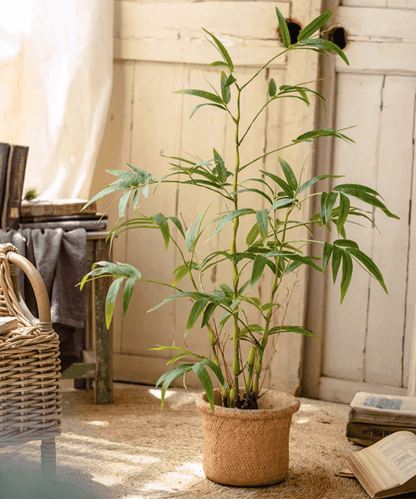 Artificial Bamboo Leaves in Pot with green stems in a natural woven pot on Tampa Home & Garden Store