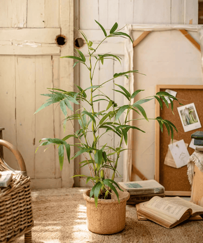 Artificial Bamboo Leaves in Pot by RusticReach, green indoor plant in woven jute pot on Tampa Home & Garden Store