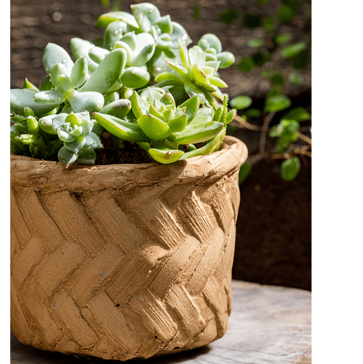 Bamboo Looking Cement Planter with tan woven texture and succulent plants on Tampa Home & Garden Store