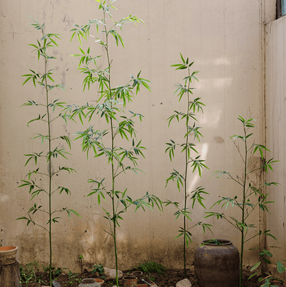 Artificial Bamboo Stem Faux Screen Plant Set of 10 by RusticReach with slim canes on Tampa Home & Garden Store