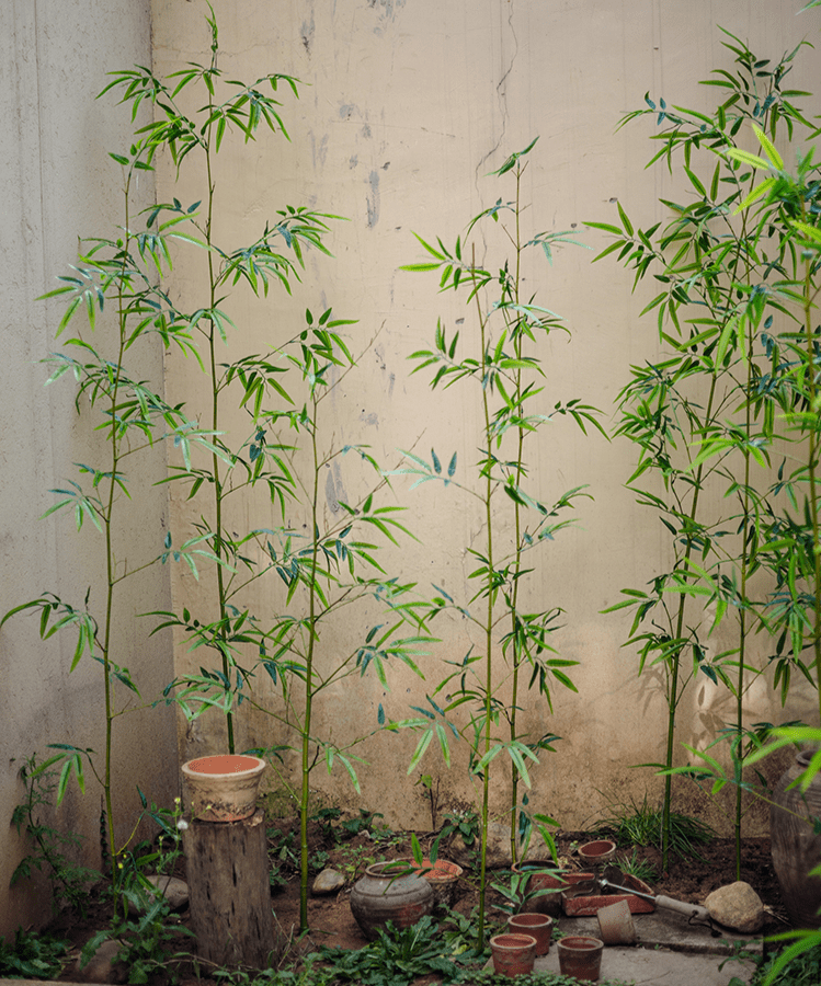 Artificial Bamboo Stem Faux Screen Plant Set of 10 with slender green stalks on Tampa Home & Garden Store