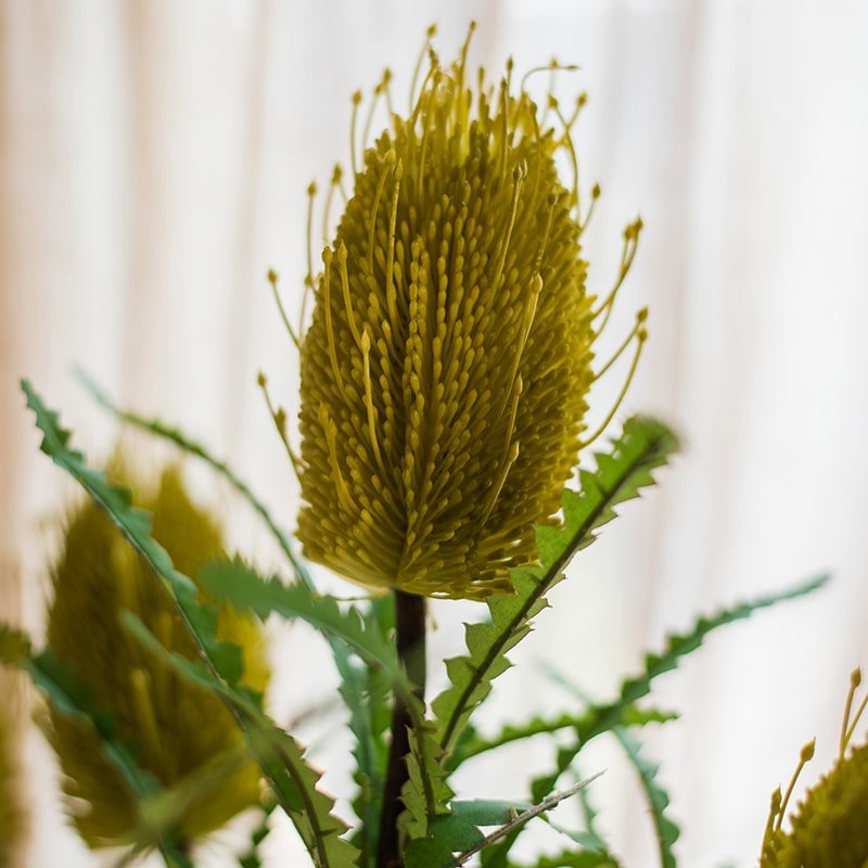 Faux Banksia Integrifolia flower, 28in tall silk bloom with olive-green leaves on Tampa Home & Garden Store