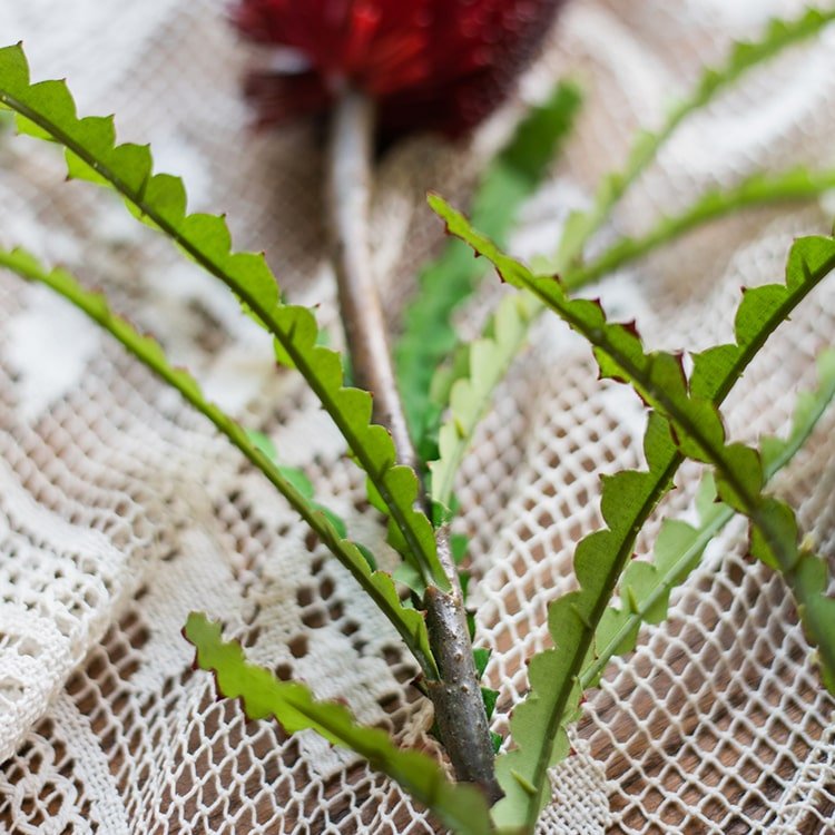 RusticReach faux Banksia Integrifolia silk stem with serrated green leaves 28 inches tall on Tampa Home & Garden Store