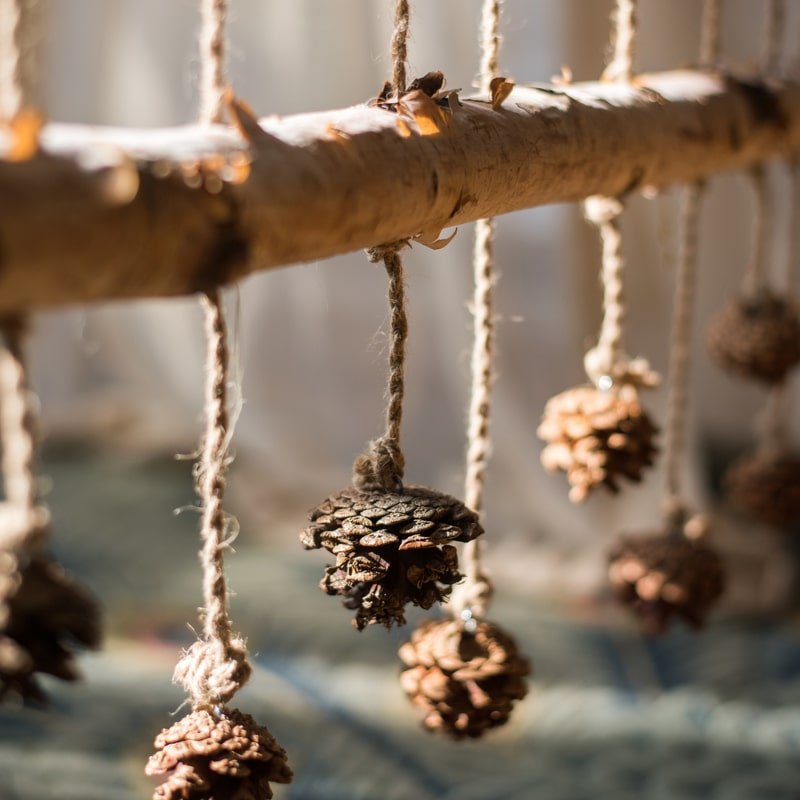 Birch Wood Photo Wall Hanger by RusticReach with hanging pinecones on birch rod on Tampa Home & Garden Store