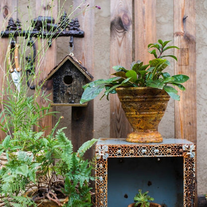 Birch Wood Decorative Bird House by RusticReach beside a rusted planter with greenery on Tampa Home & Garden Store