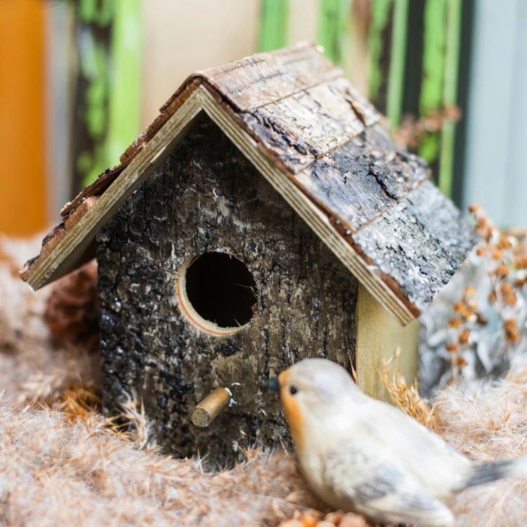 Birch Wood Bird House by RusticReach with bark finish, round entrance hole and perch on Tampa Home & Garden Store