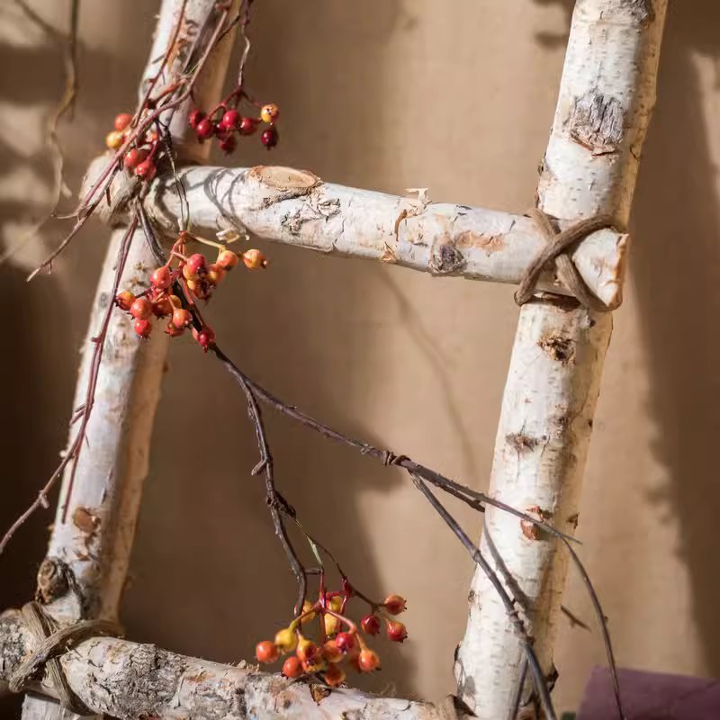 White birch wood decorative ladder by RusticReach with natural bark and red berry accents on Tampa Home & Garden Store