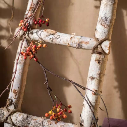 White birch wood decorative ladder by RusticReach with natural bark and red berry accents on Tampa Home & Garden Store