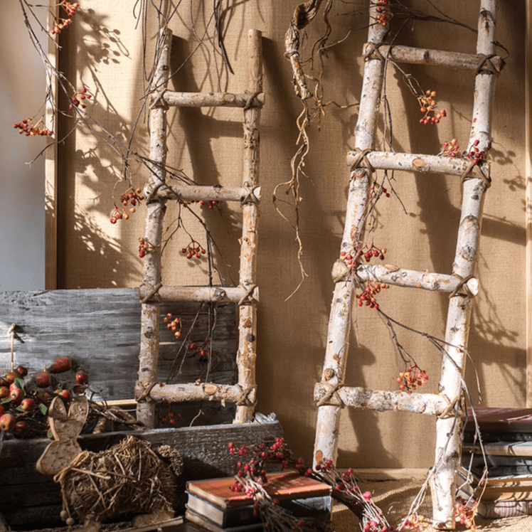 Pair of White Birch Wood Decorative Ladders by RusticReach for rustic home decor on Tampa Home & Garden Store