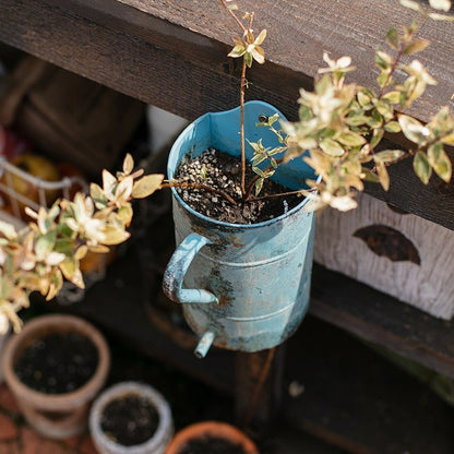 Rustic blue iron flower pot with handle by RusticReach, weathered steel planter on Tampa Home & Garden Store