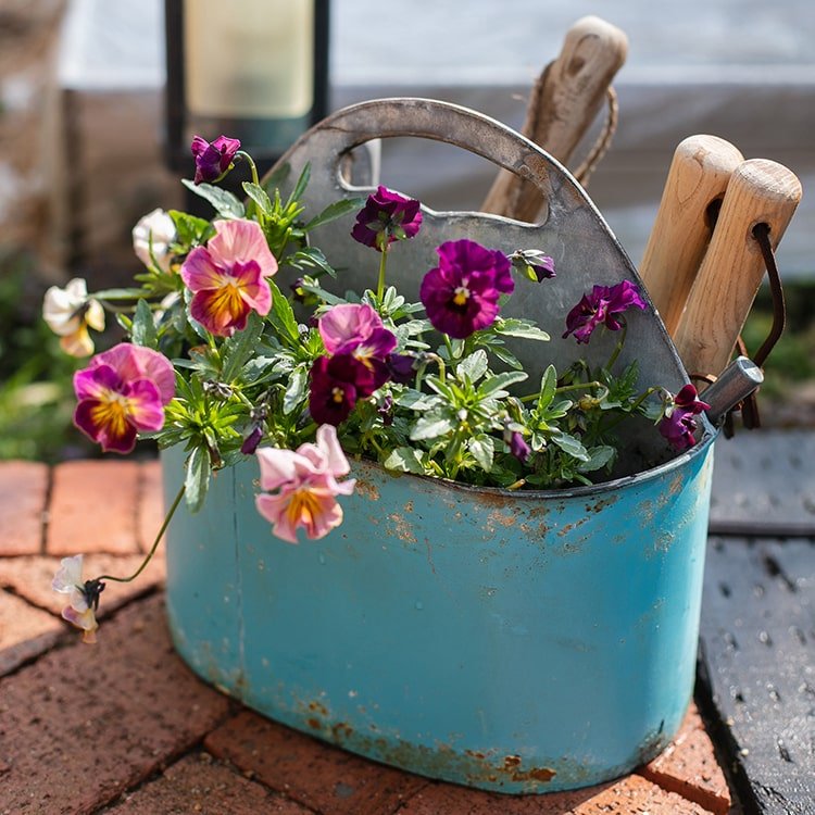 Blue metal bucket tool organizer with colorful pansies and wooden-handled garden tools by RusticReach on Tampa Home & Garden Store