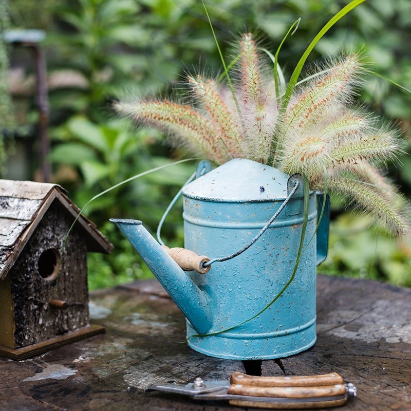 Blue metal rustic watering can filled with feathery grasses on Tampa Home & Garden Store