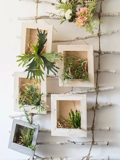 White square planter frames on a rustic twig ladder, with air plants and greenery on Tampa Home & Garden Store
