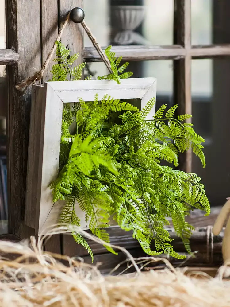 Rustic Botanical Wall Frame planter with lush ferns in whitewashed wood and jute hanger on Tampa Home & Garden Store