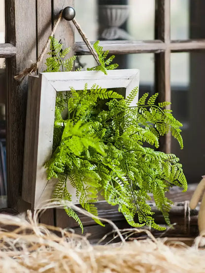 Rustic Botanical Wall Frame planter with lush ferns in whitewashed wood and jute hanger on Tampa Home & Garden Store