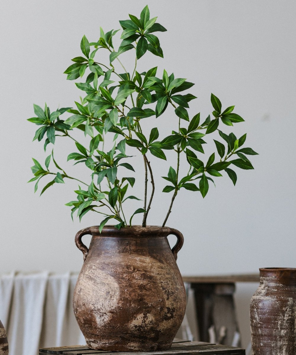 Restoration Brown Clay Pot with leafy plant, rustic two-handle planter by RusticReach on Tampa Home & Garden Store